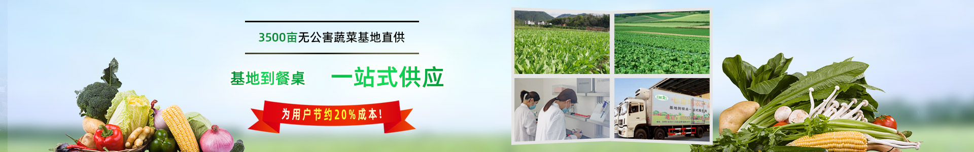 聯(lián)系我們